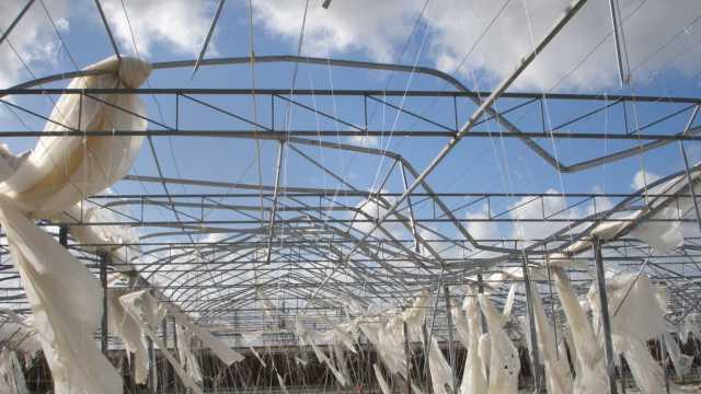 Greenhouse Hurricane Damage