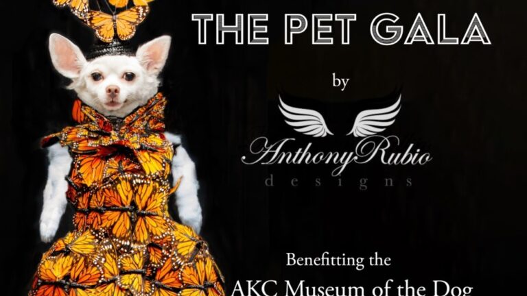 1 Anthony Rubio 2024 The Pet Gala AKC Museum of the dog New York Canine Couture Pet Fashion 800 DSC 4359 3