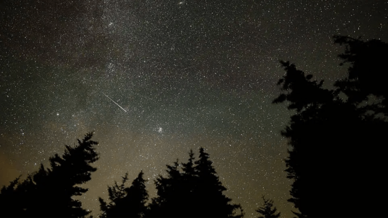 perseids august skygazing