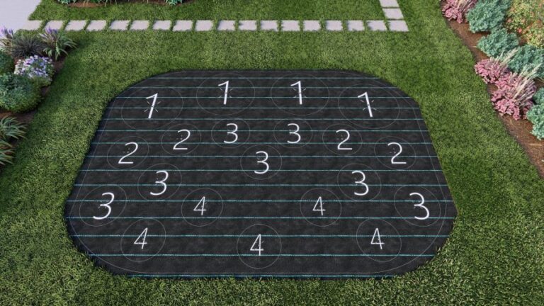 Plant by Number Design layout prior to planting and rooting on a lawn and garden center