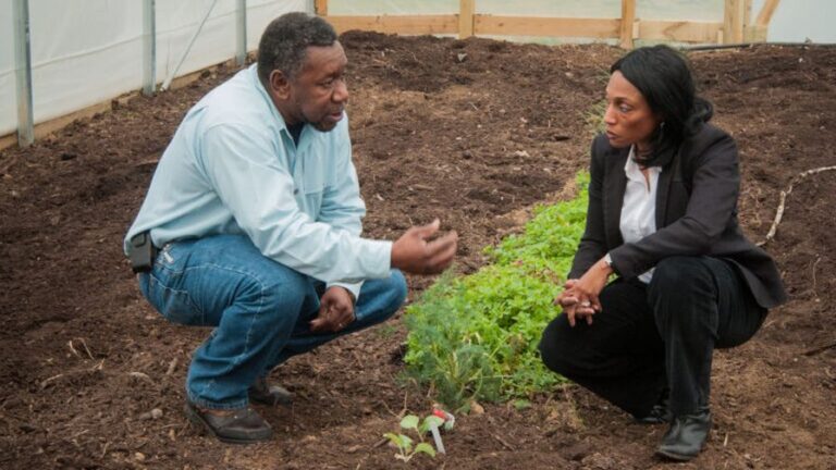 A farmer and USDA official inspecting crops in a hoop house