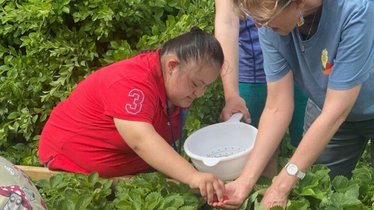 horticulture therapy being undertaken at the City Green therapeutic garden