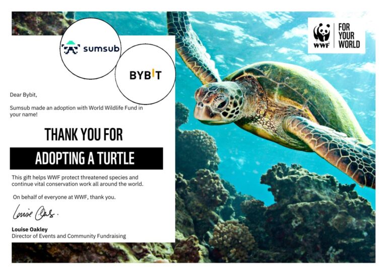 Sumsub x Bybit WWF Adoption Certificate 1734943006WCH0KhgODa