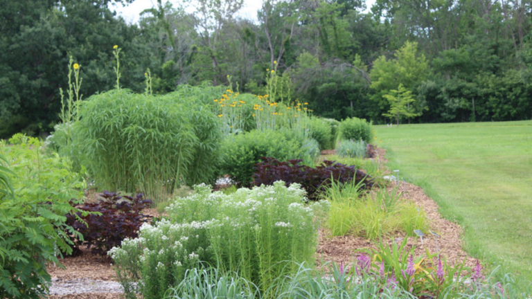 Iowa Arboretum Trials