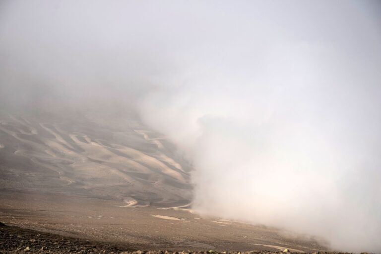 fog collecting chile