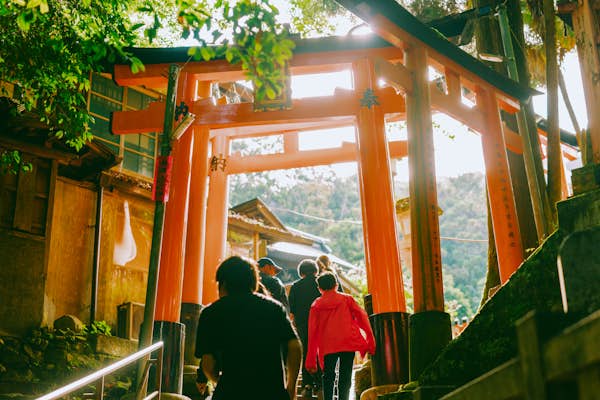 Fushimi Inari Senbon Torii24