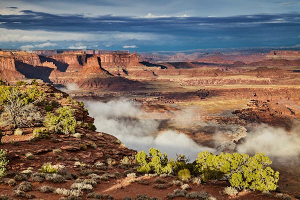 Shutterstock1993648148