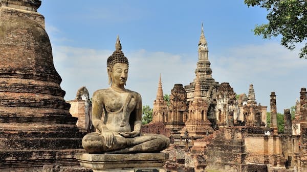 shutterstockRF167709701 cropped