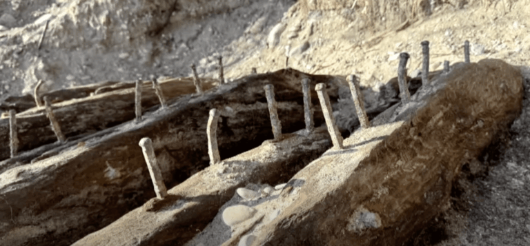 8 year old finds shipwreck on beach