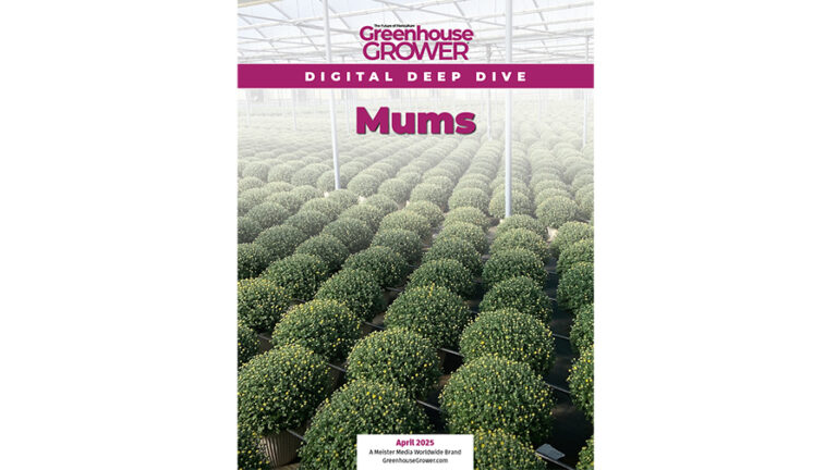896x504 2025 04 GG Mums Digital Deep Dive COVER