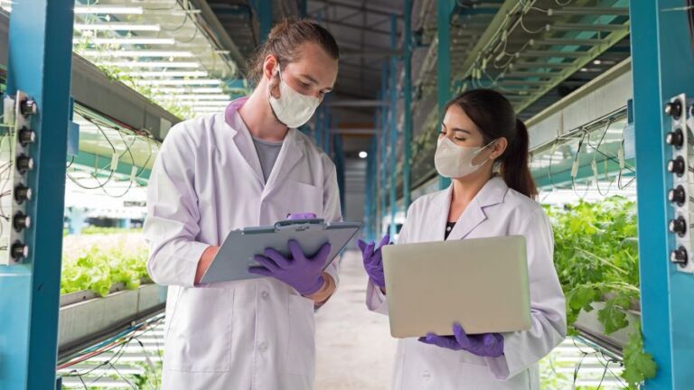 Male and female scientist wear white uniform working in organic hydroponic vegetables plots growing on indoor vertical farm featured