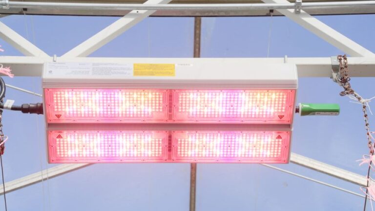 ParFX Ultra with MeshIQ Dongle from PL Light Systems