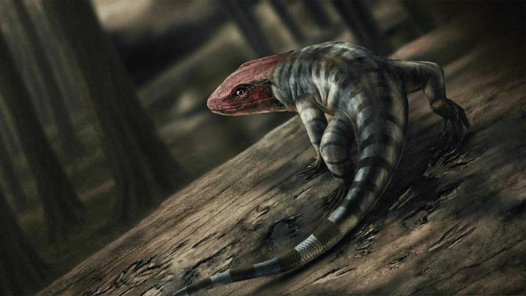 early reptile